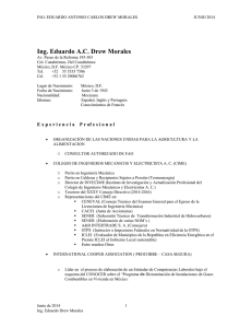 Curriculum en Español - ED Consultoría Industrial