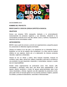 08-DICIEMBRE-2013 NOMBRE DEL PROYECTO: BIDOÓ (SANTO
