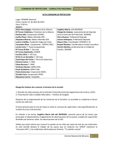 [ ] COMISION DE PROTECCION – CONSULTIVO NACIONAL