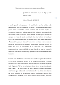 Náufragos en la roca: la flora de las yeseras ibéricas Ayudadme a