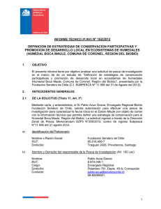 informe técnico (p.inv) n° 162/2012