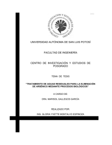 1531 UNIVERSIDAD AUTÓNOMA DE SAN LUIS POTOSÍ