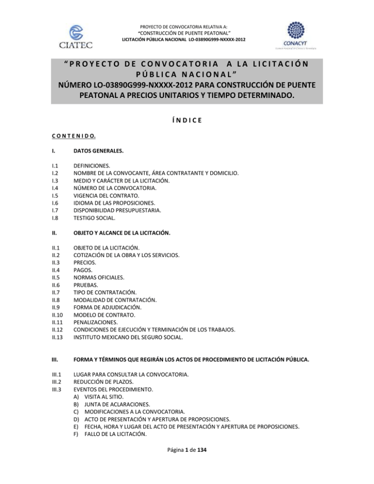 Proyecto De Convocatoria A La Licitación Pública Nacional