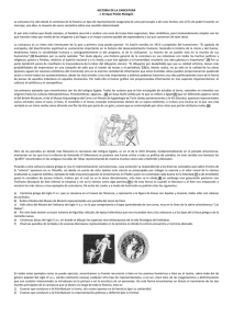 HISTORIA DE LA CARICATURA (120820)
