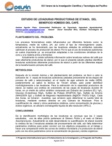 ESTUDIO DE LEVADURAS PRODUCTORAS DE ETANOL  DEL
