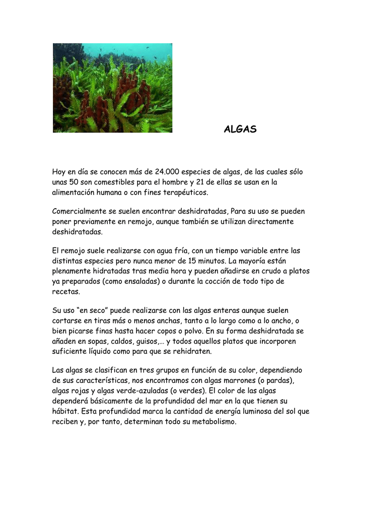 alimentacion de las algas rojas