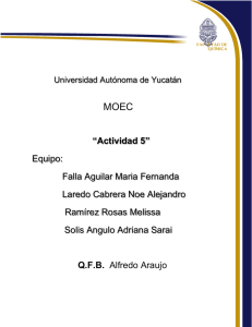 Act 5 - Universidad Autónoma de Yucatán