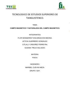 TECNOLOGICO DE ESTUDIOS SUPERIORES DE TIANGUISTENCO.