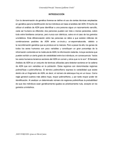 Universidad Privada “Antonio Guillermo Urrelo”  genética
