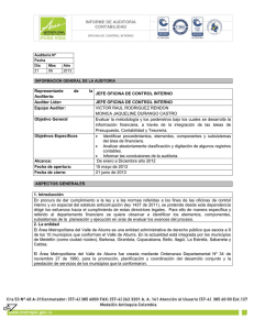 Informe Contabilidad 2013