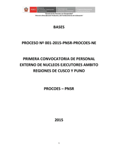 bases proceso nº 001-2015-pnsr-procoes