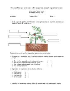 Para identificar que tanto sabes sobre las plantas, realiza la...  ENCUESTA TIPO TEST