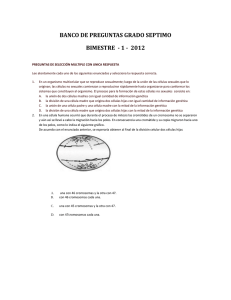 banco de preguntas grado septimo bimestre - 1 - 2012