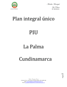 PIU Plan integral único La Palma Cundinamarca