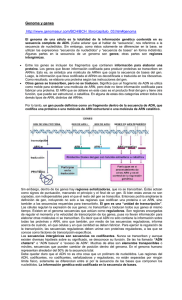 Genoma y genes http://www.genomasur.com/BCH/BCH_libro