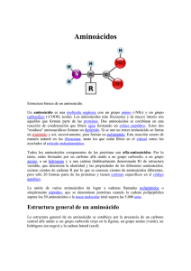 Aminoácidos