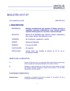 BOLETÍN 6537-07  I. DESCRIPCIÓN