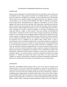 AUTOECOLOGIA Y MEJORAMIENTO GENÉTICO DE Prosopis Spp