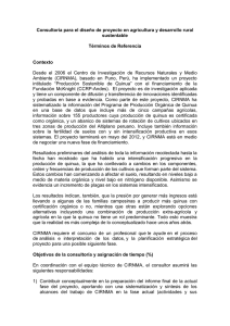 cirnma_-_terminos_de_referencia_consultoria_quinua