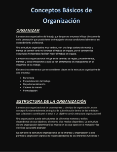 conceptos_bsicos_de_organizacin