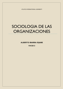 SOCIOLOGIA DE LAS ORGANIZACIONES  ALBERTO IBARRA IDJABE