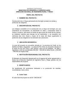 MINISTERIO DE DESARROLLO AGROPECUARIO DIRECCIÓN NACIONAL DE INGENIERÍA RURAL Y RIEGO