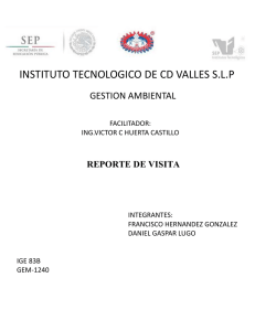 INSTITUTO TECNOLOGICO DE CD VALLES S.L.P GESTION AMBIENTAL REPORTE DE VISITA
