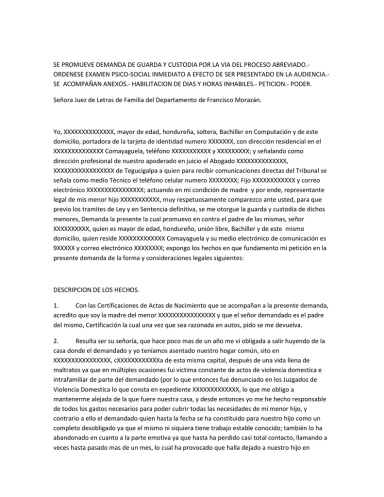 se promueve demanda de guarda y custodia por la via del proceso