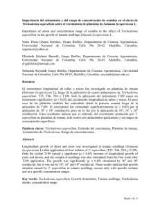 Importancia del aislamiento y del rango de concentración de conidias... Trichoderma asperellum  Trichoderma