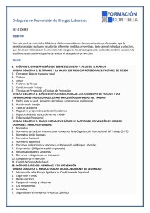 Delegado en Prevenci&oacute;n de Riesgos Laborales