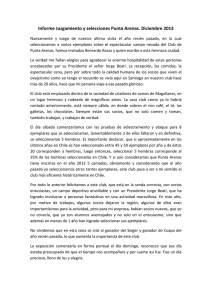 Informe Juzgamiento y selecciones Punta Arenas. Diciembre 2013