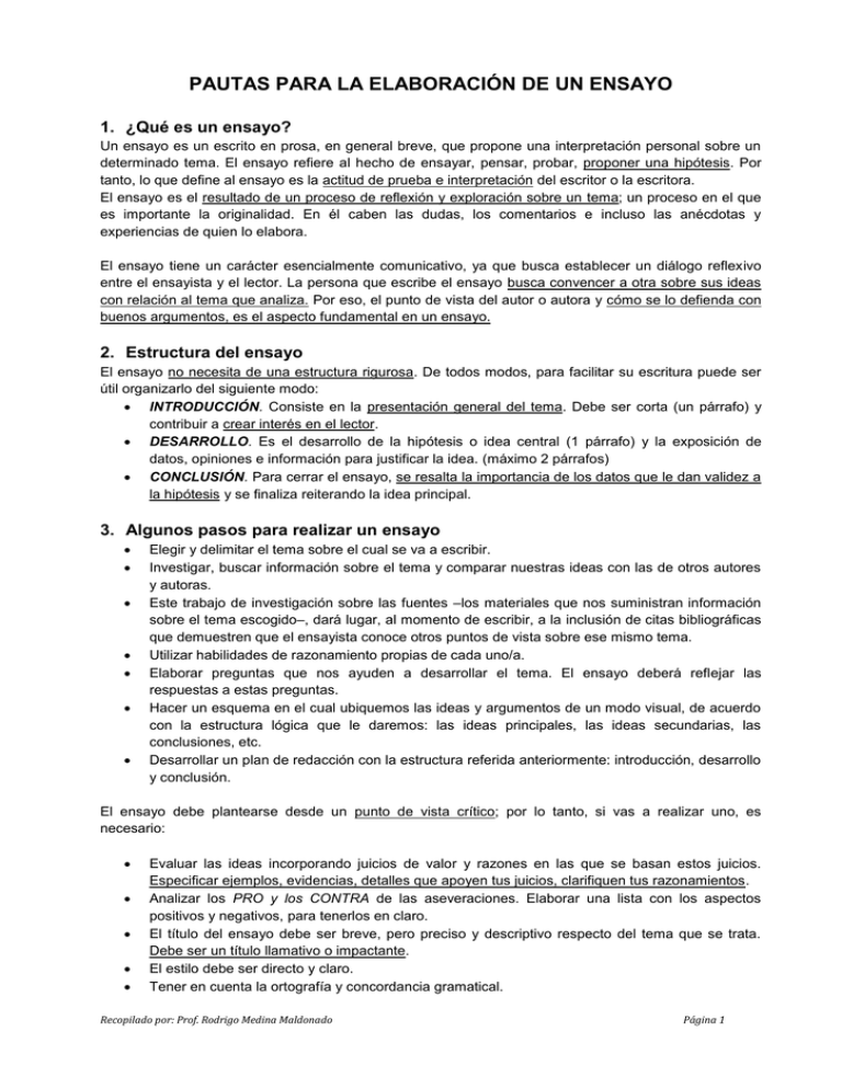 Pautas Para La ElaboraciÓn De Un Ensayo 6817