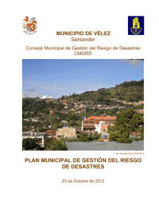 2010 Velez - Centro de documentación e información de
