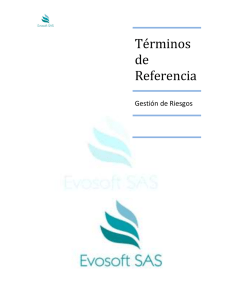 Grupo 2 - Terminos De Referencia Gestion de Riesgos