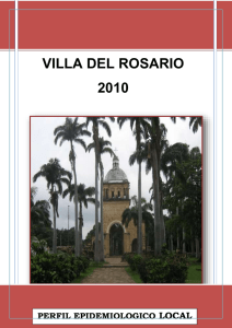 VILLA DEL ROSARIO 2010 LOCAL PERFIL EPIDEMIOLOGICO