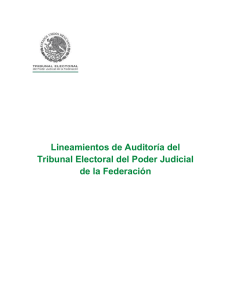 Lin Auditoría 394 - Tribunal Electoral del Poder Judicial de la