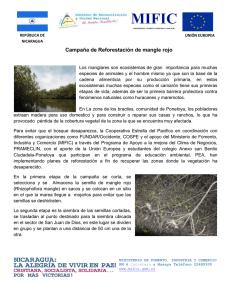 Campaña de Reforestación de mangle rojo
