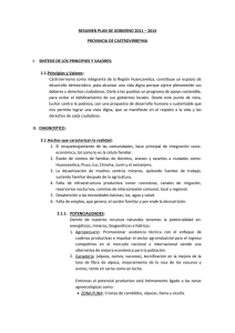 RESUMEN PLAN DE GOBIERNO 2011 – 2014 PROVINCIA DE CASTROVIRREYNA