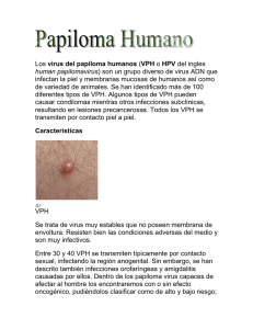 virus del papiloma humanos a piel