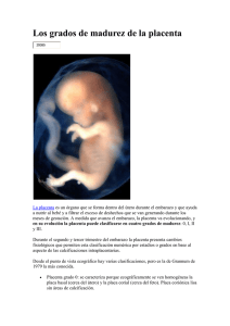 Los grados de madurez de la placenta