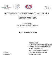 INSTITUTO TECNOLOGICO DE CD VALLES S.L.P GESTION AMBIENTAL ESTUDIO DE CASO