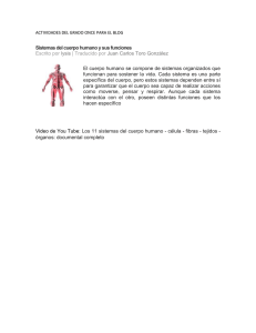 Sistemas del cuerpo humano y sus funciones Escrito por | Traducido por