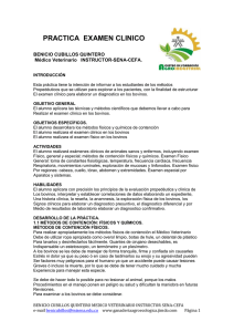 PRACTICA  EXAMEN CLINICO  BENICIO CUBILLOS QUINTERO Médico Veterinario   INSTRUCTOR-SENA-CEFA.