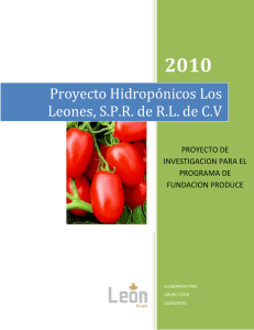 Proyecto Hidropónicos Los Leones, S.P.R. de R.L. de C.V