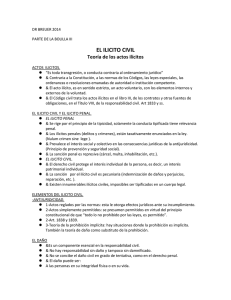 EL ILICITO CIVIL Teor&iacute;a de los actos il&iacute;citos