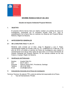 INFORME TÉCNICO (P.INV) Nº 126 / 2012  1.