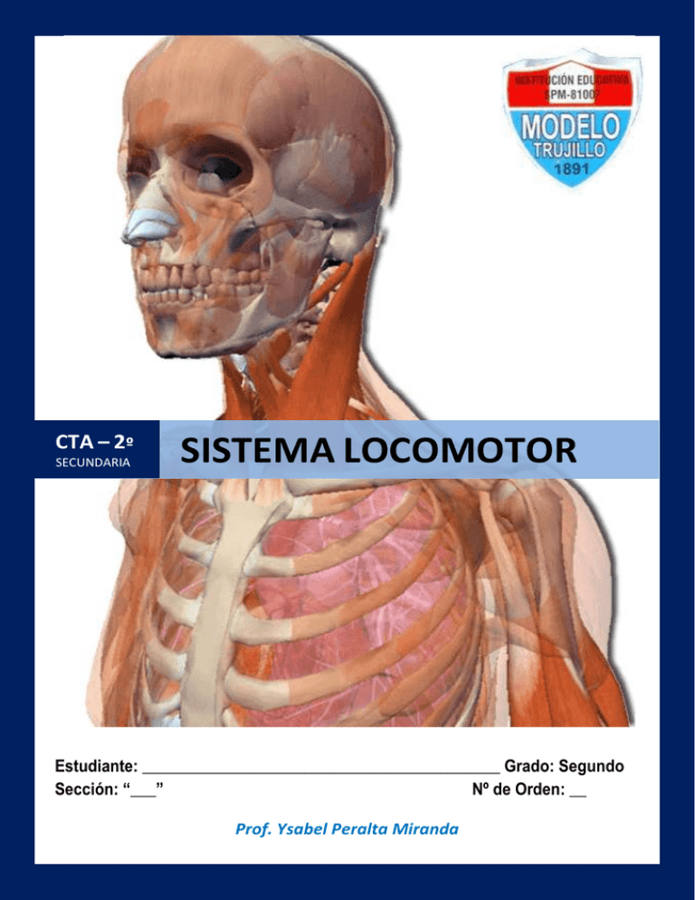 SISTEMA LOCOMOTOR