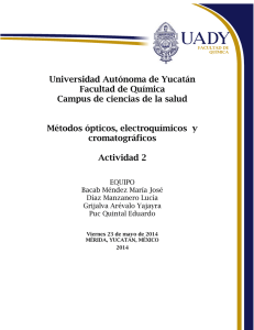 Actividad 2 - Universidad Autónoma de Yucatán