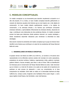 c. modelos conceptuales.