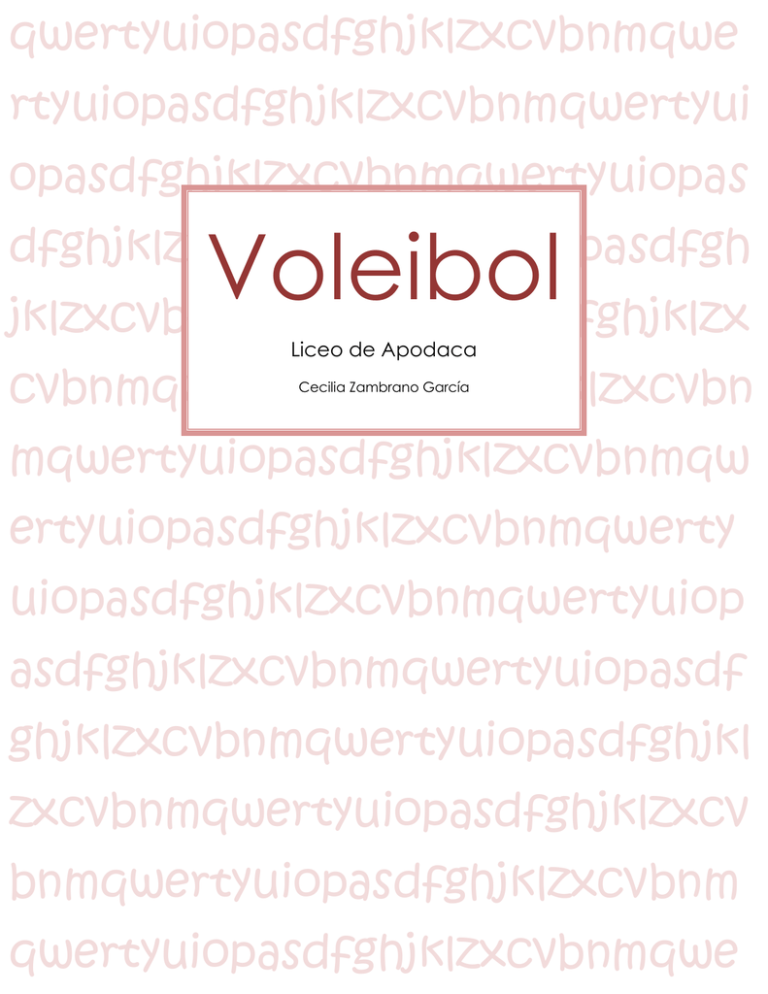 voleibol-wordpress